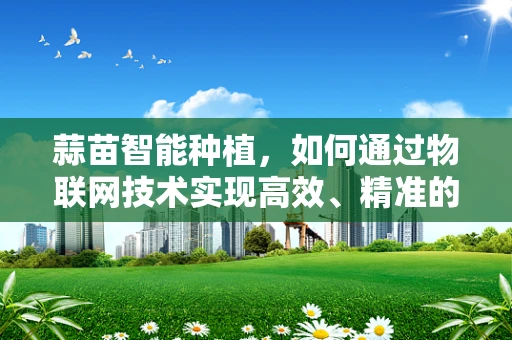 蒜苗智能种植，如何通过物联网技术实现高效、精准的种植？