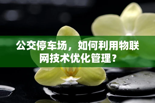 公交停车场，如何利用物联网技术优化管理？