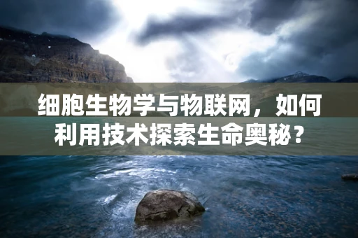细胞生物学与物联网，如何利用技术探索生命奥秘？