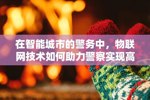 在智能城市的警务中，物联网技术如何助力警察实现高效巡逻？
