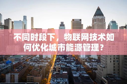 不同时段下，物联网技术如何优化城市能源管理？