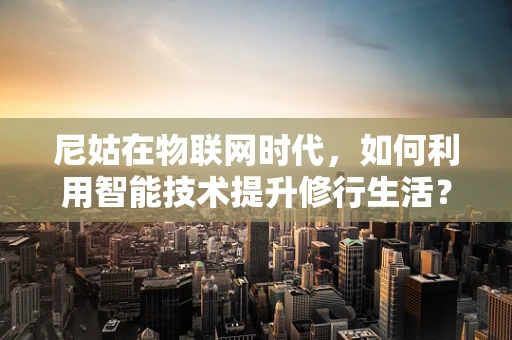 尼姑在物联网时代，如何利用智能技术提升修行生活？