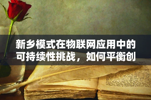 新乡模式在物联网应用中的可持续性挑战，如何平衡创新与地方特色？