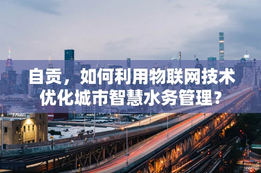 自贡，如何利用物联网技术优化城市智慧水务管理？