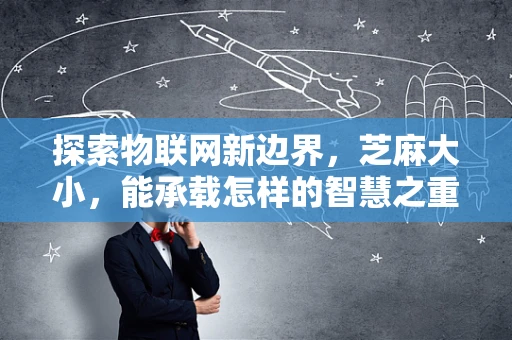 探索物联网新边界，芝麻大小，能承载怎样的智慧之重？