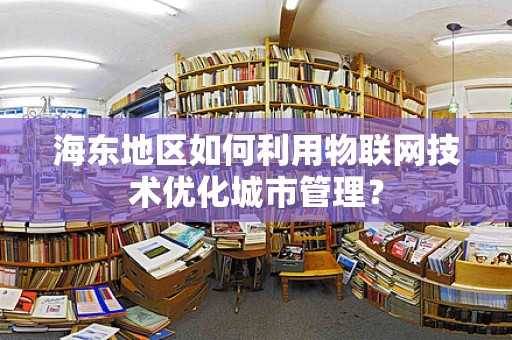 海东地区如何利用物联网技术优化城市管理？