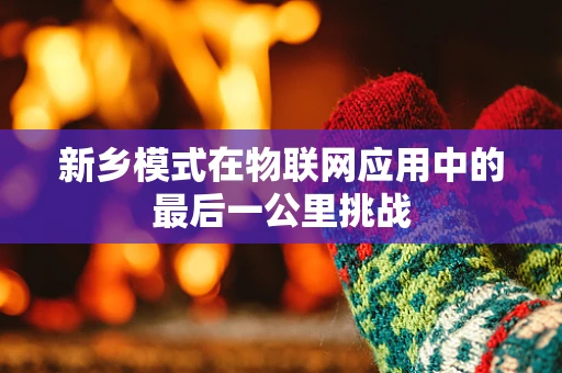 新乡模式在物联网应用中的最后一公里挑战