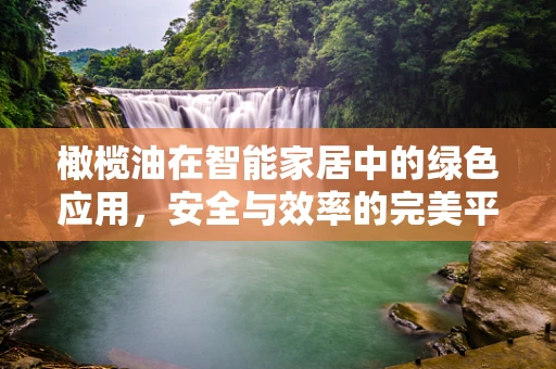 橄榄油在智能家居中的绿色应用，安全与效率的完美平衡？