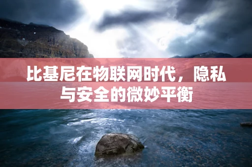 比基尼在物联网时代，隐私与安全的微妙平衡