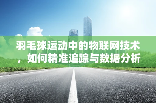 羽毛球运动中的物联网技术，如何精准追踪与数据分析？