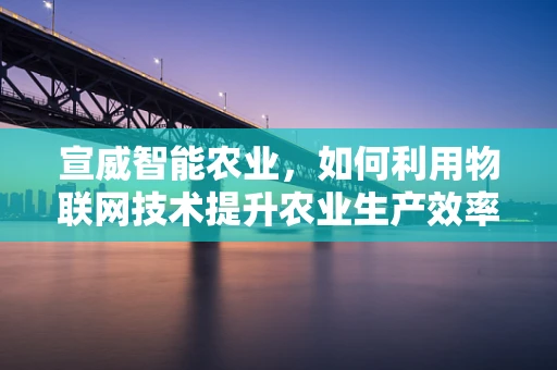 宣威智能农业，如何利用物联网技术提升农业生产效率？