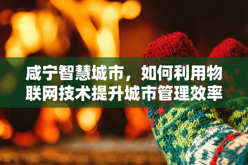 咸宁智慧城市，如何利用物联网技术提升城市管理效率？
