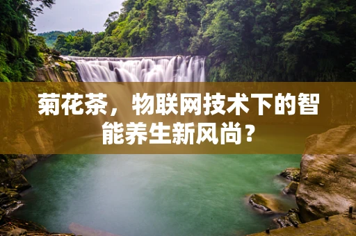 菊花茶，物联网技术下的智能养生新风尚？