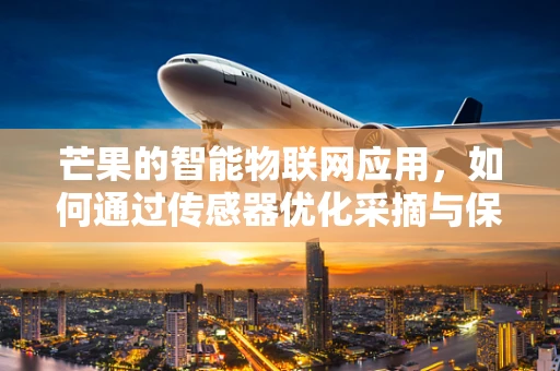 芒果的智能物联网应用，如何通过传感器优化采摘与保鲜？