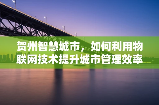 贺州智慧城市，如何利用物联网技术提升城市管理效率？