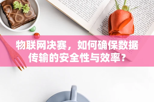 物联网决赛，如何确保数据传输的安全性与效率？