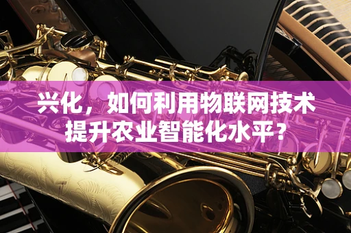 兴化，如何利用物联网技术提升农业智能化水平？
