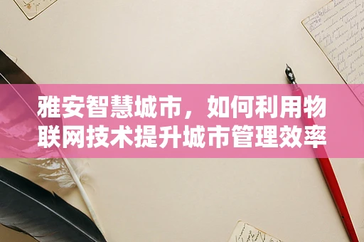雅安智慧城市，如何利用物联网技术提升城市管理效率？