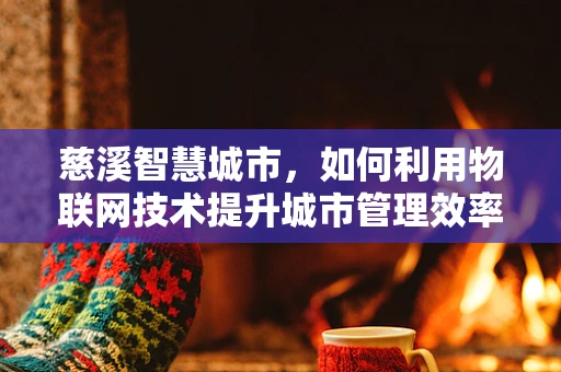 慈溪智慧城市，如何利用物联网技术提升城市管理效率？