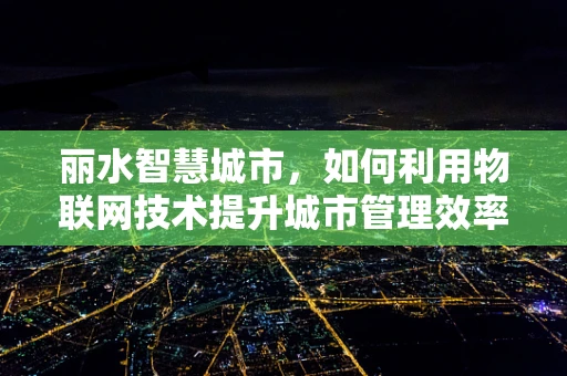 丽水智慧城市，如何利用物联网技术提升城市管理效率？