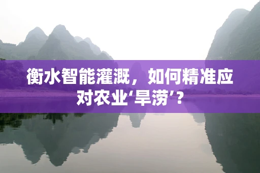 衡水智能灌溉，如何精准应对农业‘旱涝’？