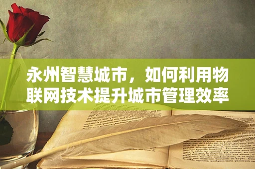 永州智慧城市，如何利用物联网技术提升城市管理效率？