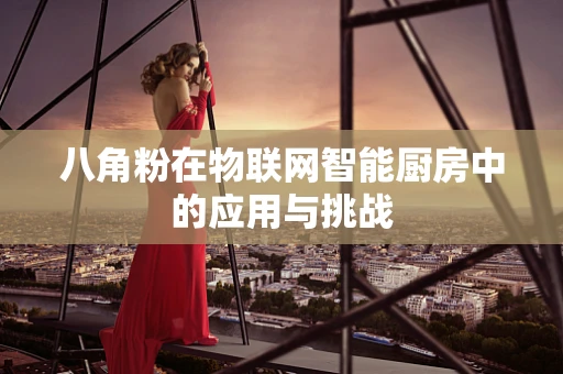 八角粉在物联网智能厨房中的应用与挑战