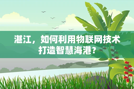 湛江，如何利用物联网技术打造智慧海港？