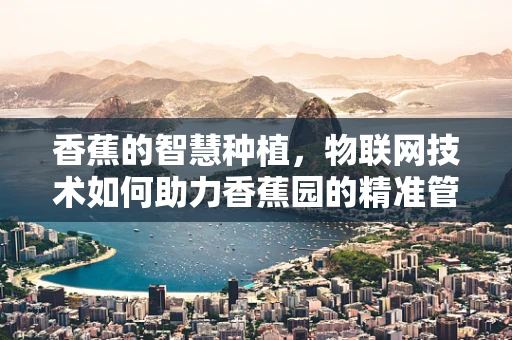 香蕉的智慧种植，物联网技术如何助力香蕉园的精准管理？