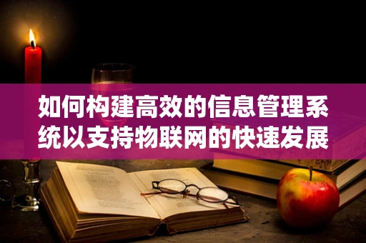 如何构建高效的信息管理系统以支持物联网的快速发展？