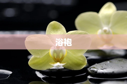 浴袍