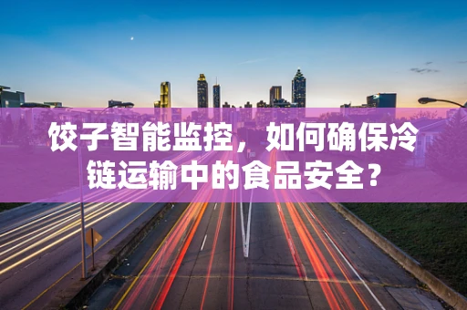 饺子智能监控，如何确保冷链运输中的食品安全？