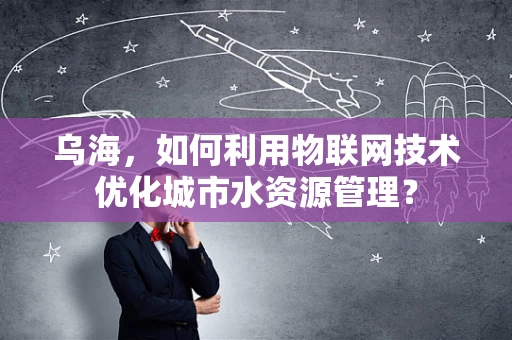 乌海，如何利用物联网技术优化城市水资源管理？