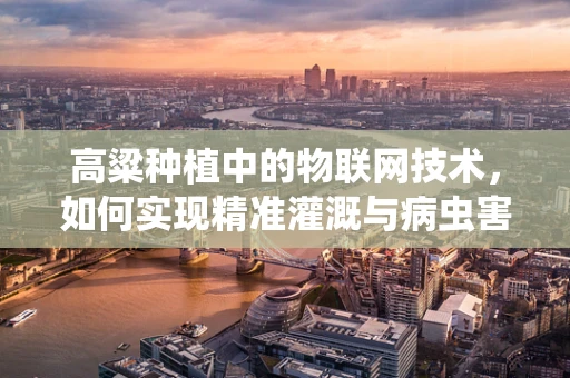 高粱种植中的物联网技术，如何实现精准灌溉与病虫害监测？