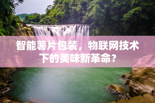智能薯片包装，物联网技术下的美味新革命？