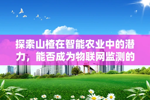 探索山楂在智能农业中的潜力，能否成为物联网监测的果中翘楚？