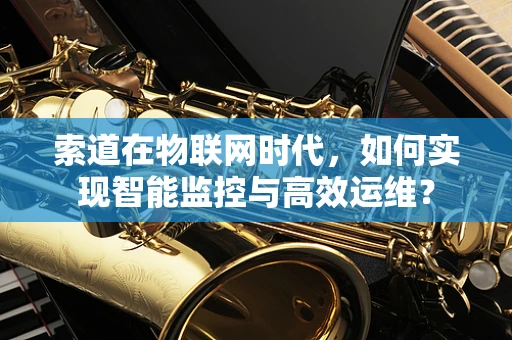 索道在物联网时代，如何实现智能监控与高效运维？
