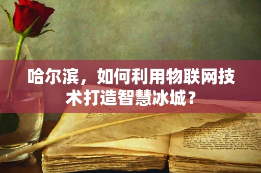 哈尔滨，如何利用物联网技术打造智慧冰城？