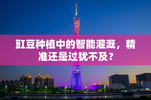 豇豆种植中的智能灌溉，精准还是过犹不及？
