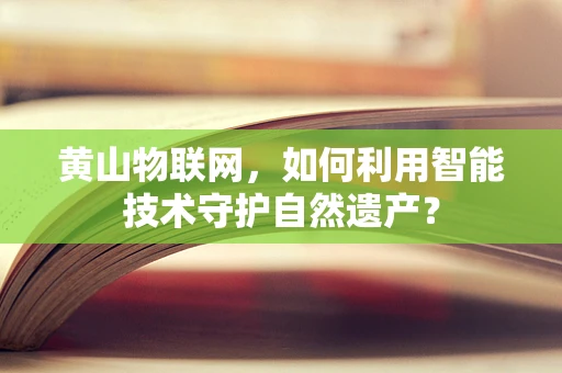 黄山物联网，如何利用智能技术守护自然遗产？