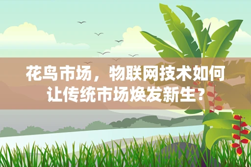花鸟市场，物联网技术如何让传统市场焕发新生？