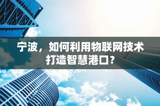 宁波，如何利用物联网技术打造智慧港口？