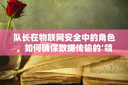 队长在物联网安全中的角色，如何确保数据传输的‘领航’安全？