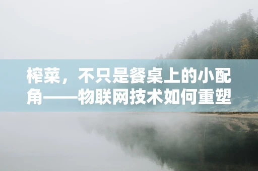 榨菜，不只是餐桌上的小配角——物联网技术如何重塑其保鲜与追踪的未来？