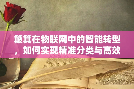 簸箕在物联网中的智能转型，如何实现精准分类与高效管理？