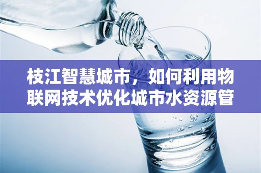 枝江智慧城市，如何利用物联网技术优化城市水资源管理？