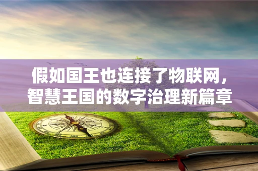 假如国王也连接了物联网，智慧王国的数字治理新篇章