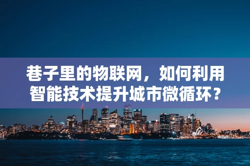 巷子里的物联网，如何利用智能技术提升城市微循环？