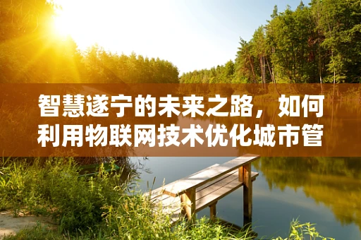 智慧遂宁的未来之路，如何利用物联网技术优化城市管理？