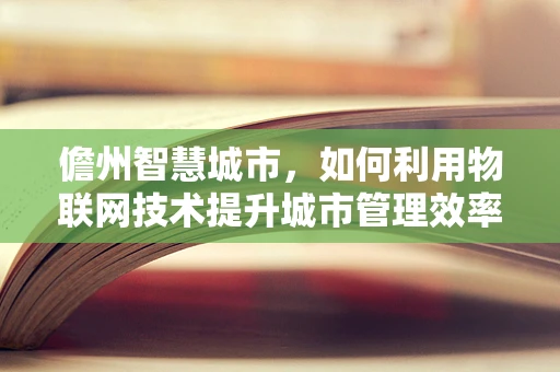 儋州智慧城市，如何利用物联网技术提升城市管理效率？